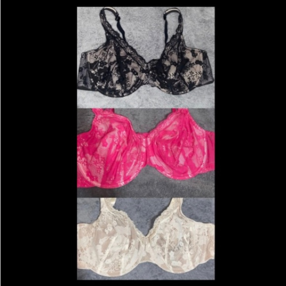 Lane Bryant Cacique Bras (3)